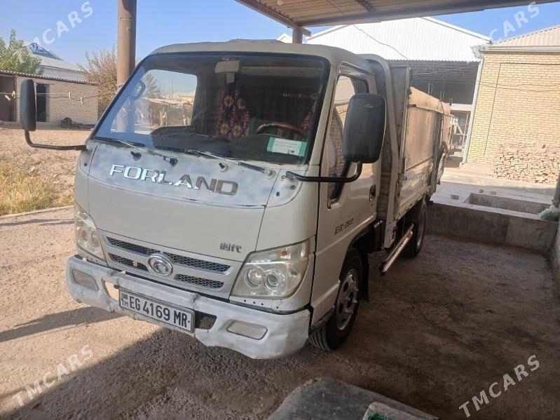 Forland H2 2011 - 80 000 TMT - Сакарчага - img 3