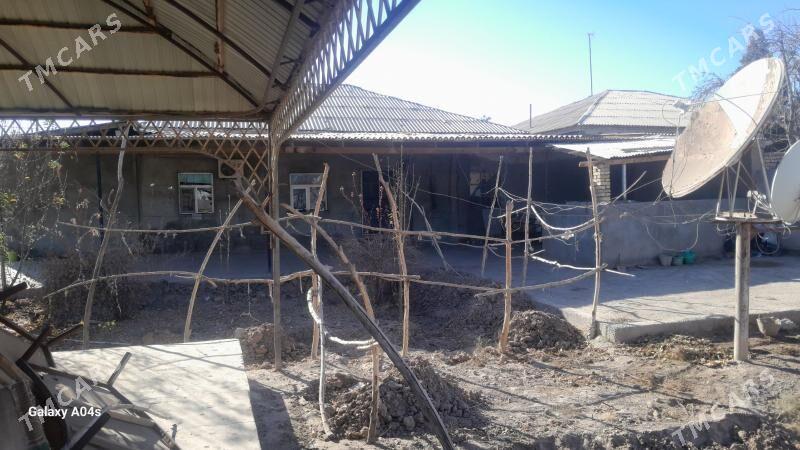 arjankizda jay - Daşoguz - img 1