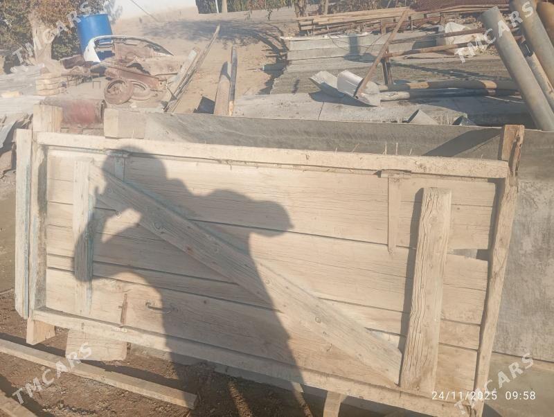 Polluk agac - Murgap - img 3