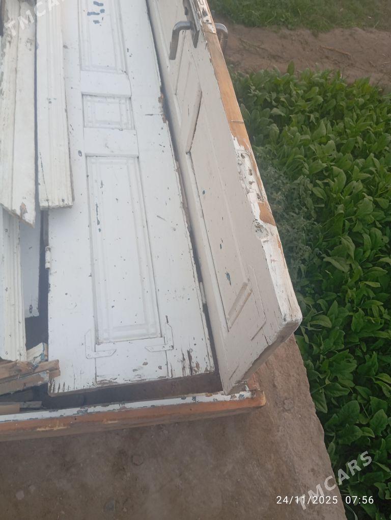 Polluk agac - Murgap - img 4