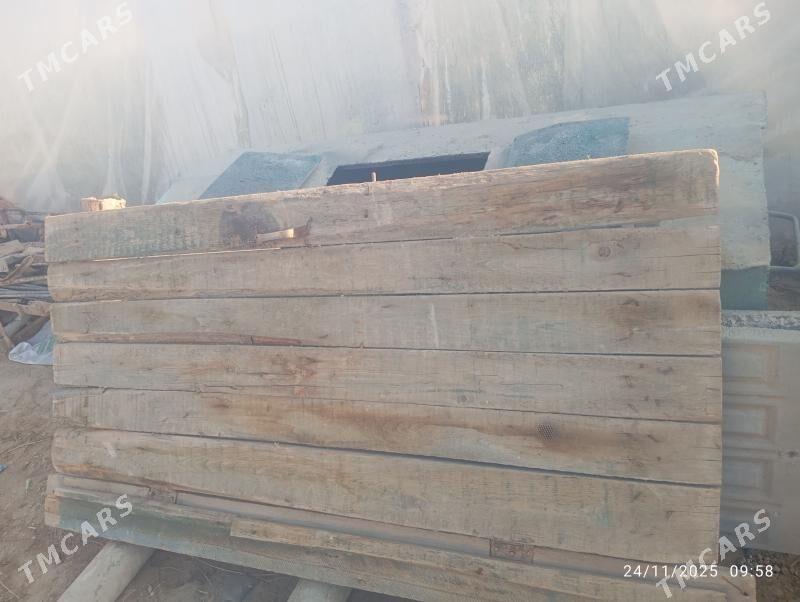 Polluk agac - Murgap - img 8