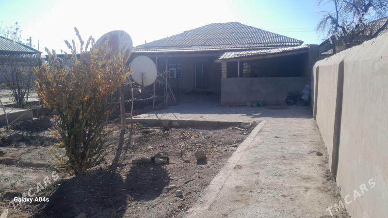 arjankizda jay - Daşoguz - img 3