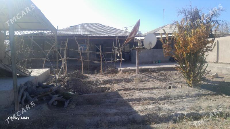 arjankizda jay - Daşoguz - img 4