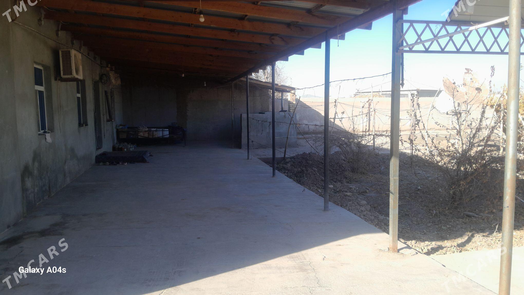 arjankizda jay - Daşoguz - img 2