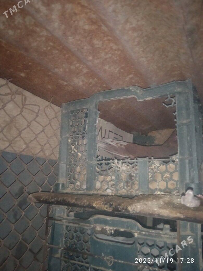 kepder - Саят - img 4