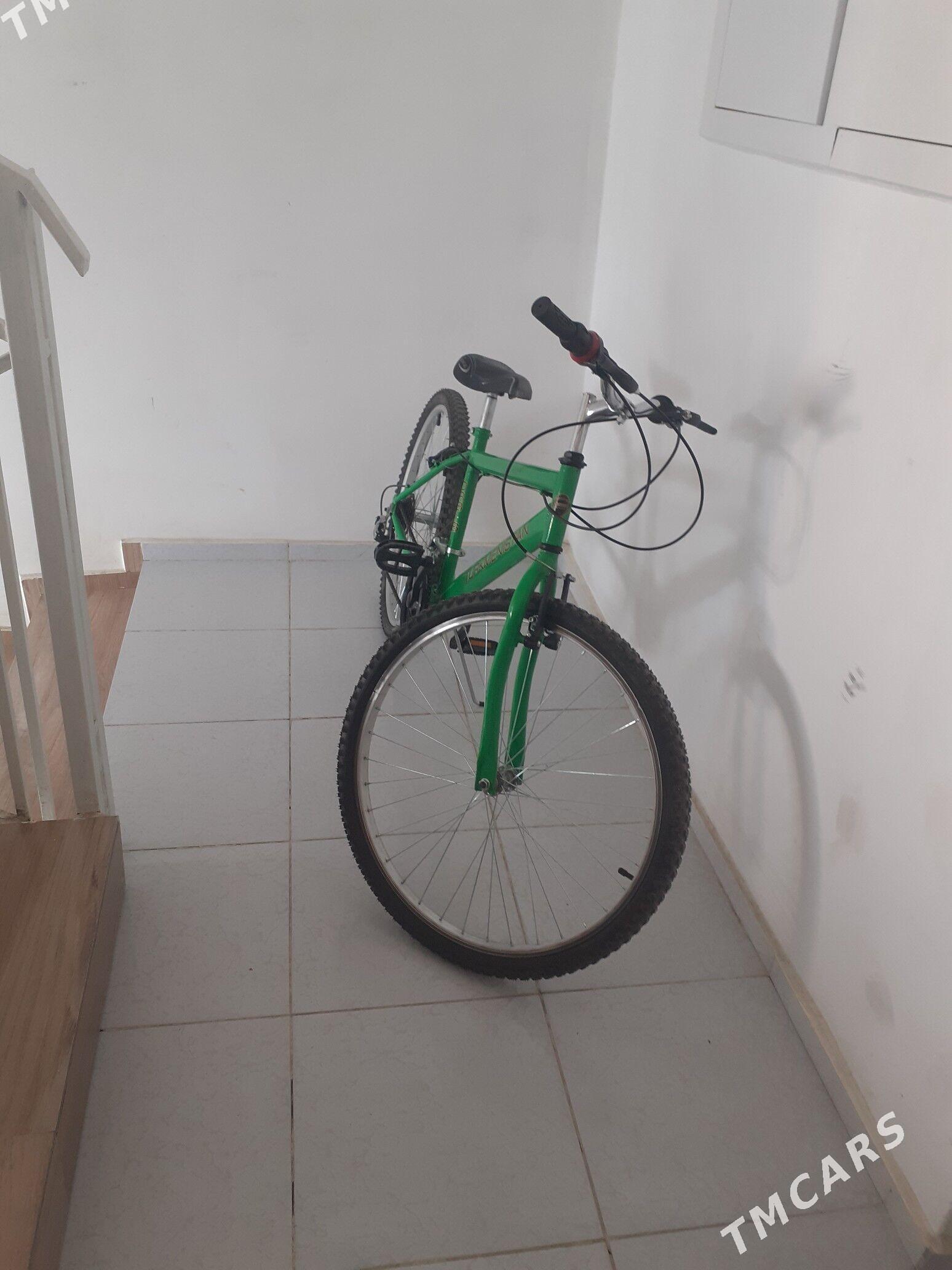 tigir - Анев - img 3