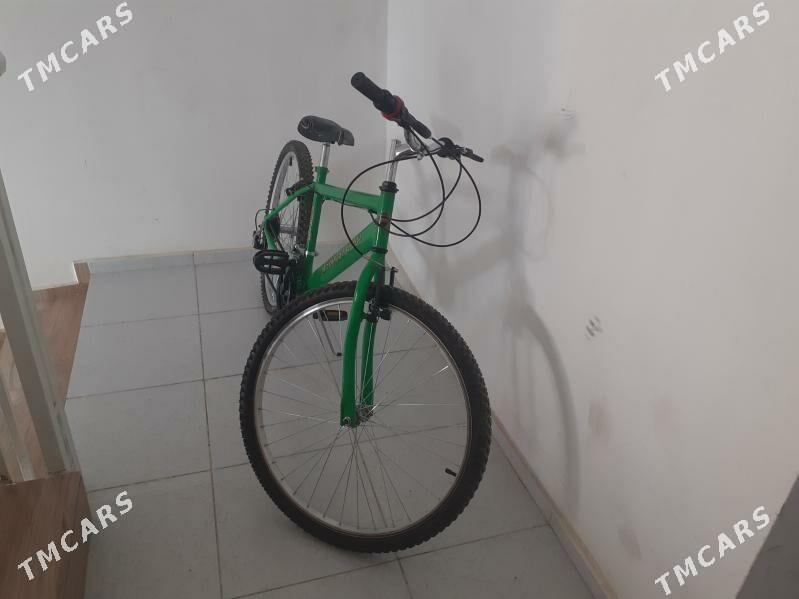 tigir - Анев - img 2