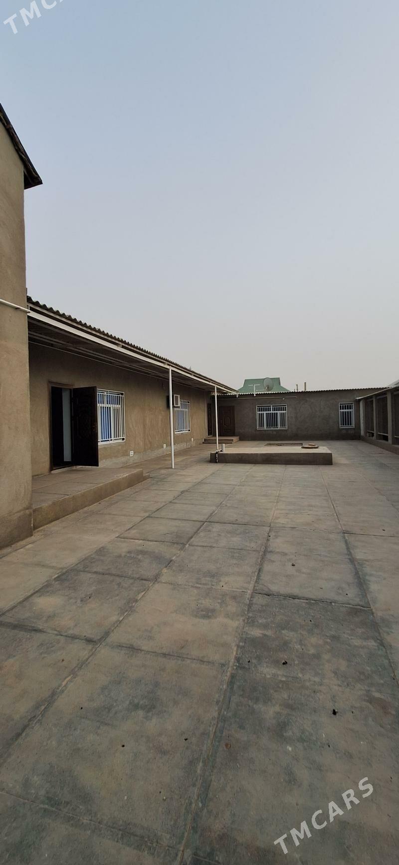 jay satlyk - Tejen - img 5