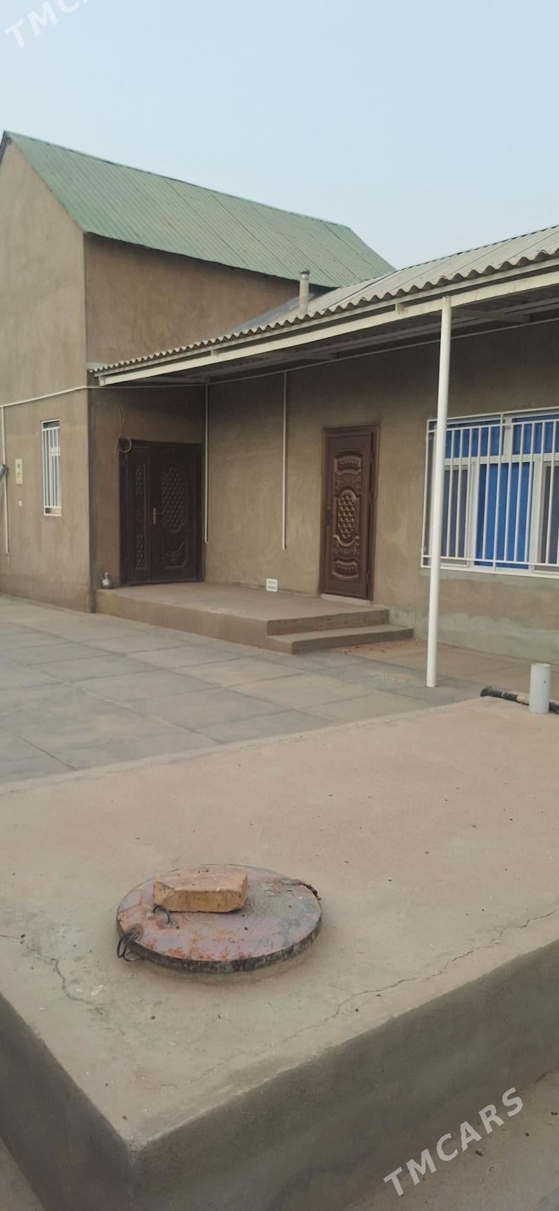 jay satlyk - Tejen - img 2