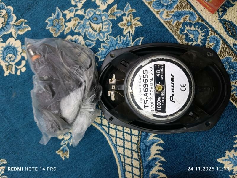 Kalonka 250 TMT - Mary - img 2