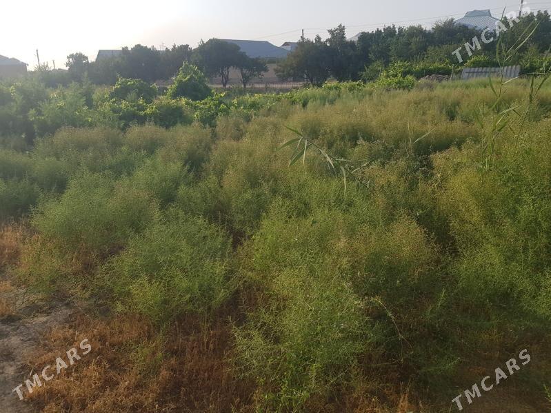 satlyk mellek yer - Керки - img 5