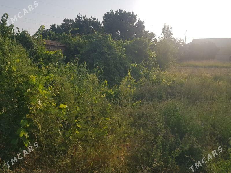 satlyk mellek yer - Керки - img 3