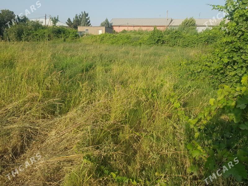 satlyk mellek yer - Керки - img 2