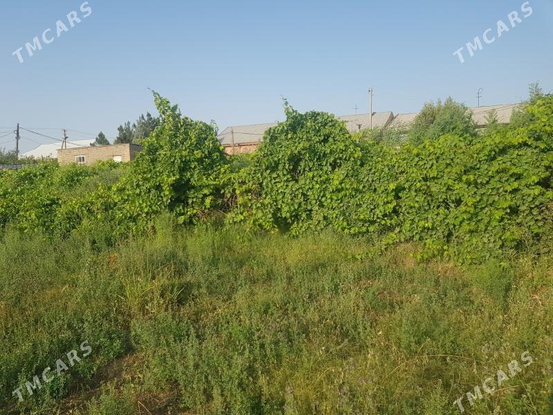 satlyk mellek yer - Керки - img 4