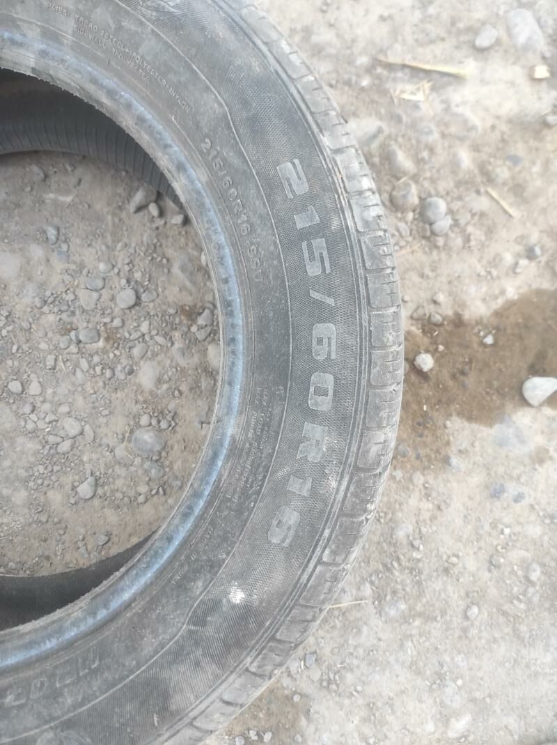 pakryska. 16. lyk 150 TMT - Бабадайхан - img 2