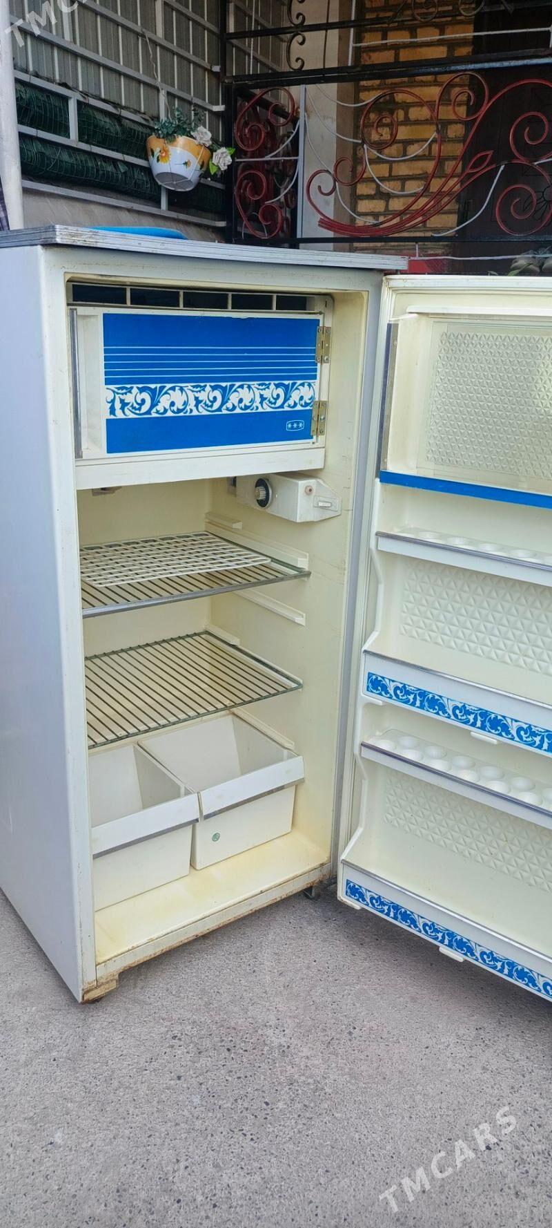 Ors holodilnik - Mary - img 2