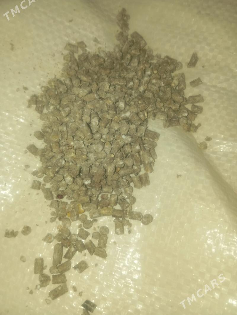 Granula towuk iym(комбикорм) - Daşoguz - img 2