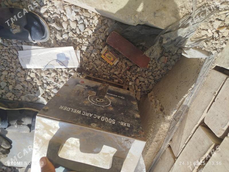 sywarka - Sakarçäge - img 3