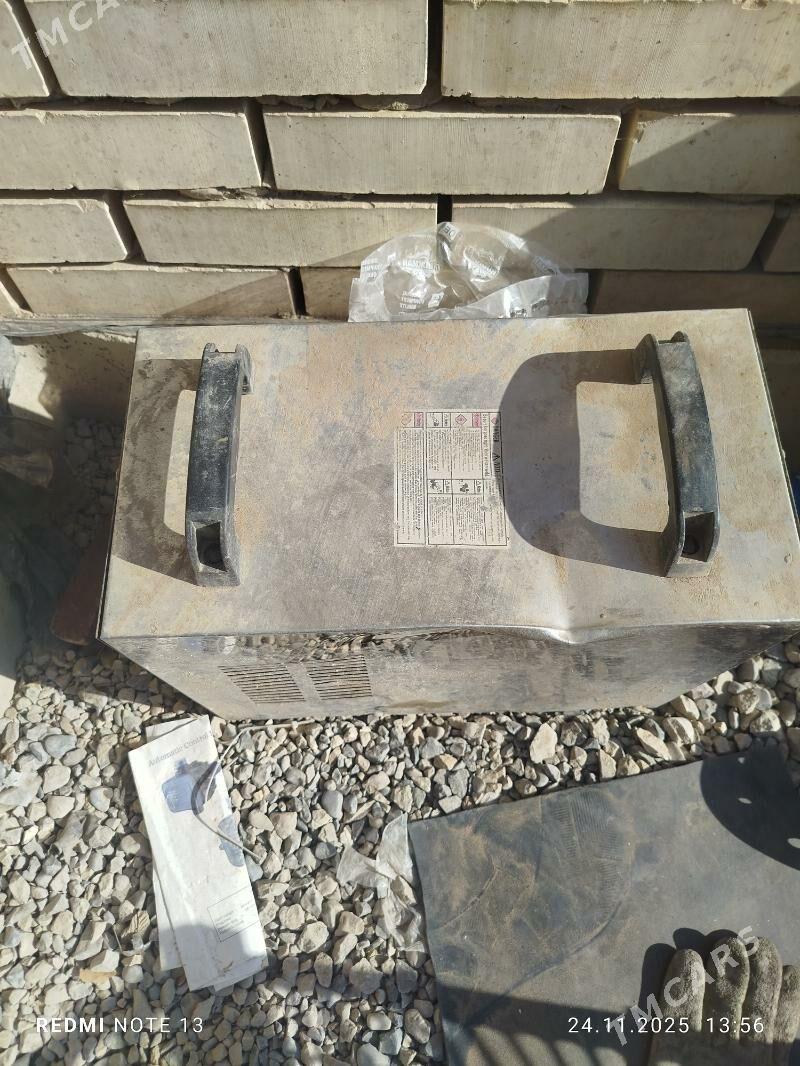 sywarka - Sakarçäge - img 2