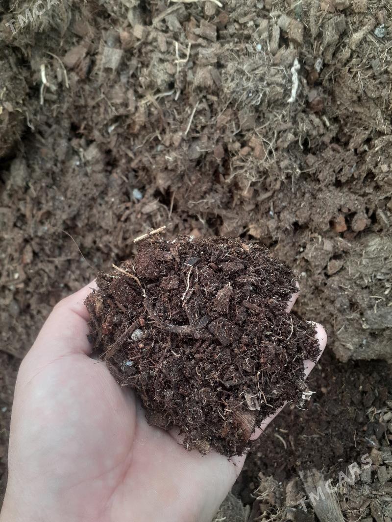 dokun kokobit - Änew - img 1