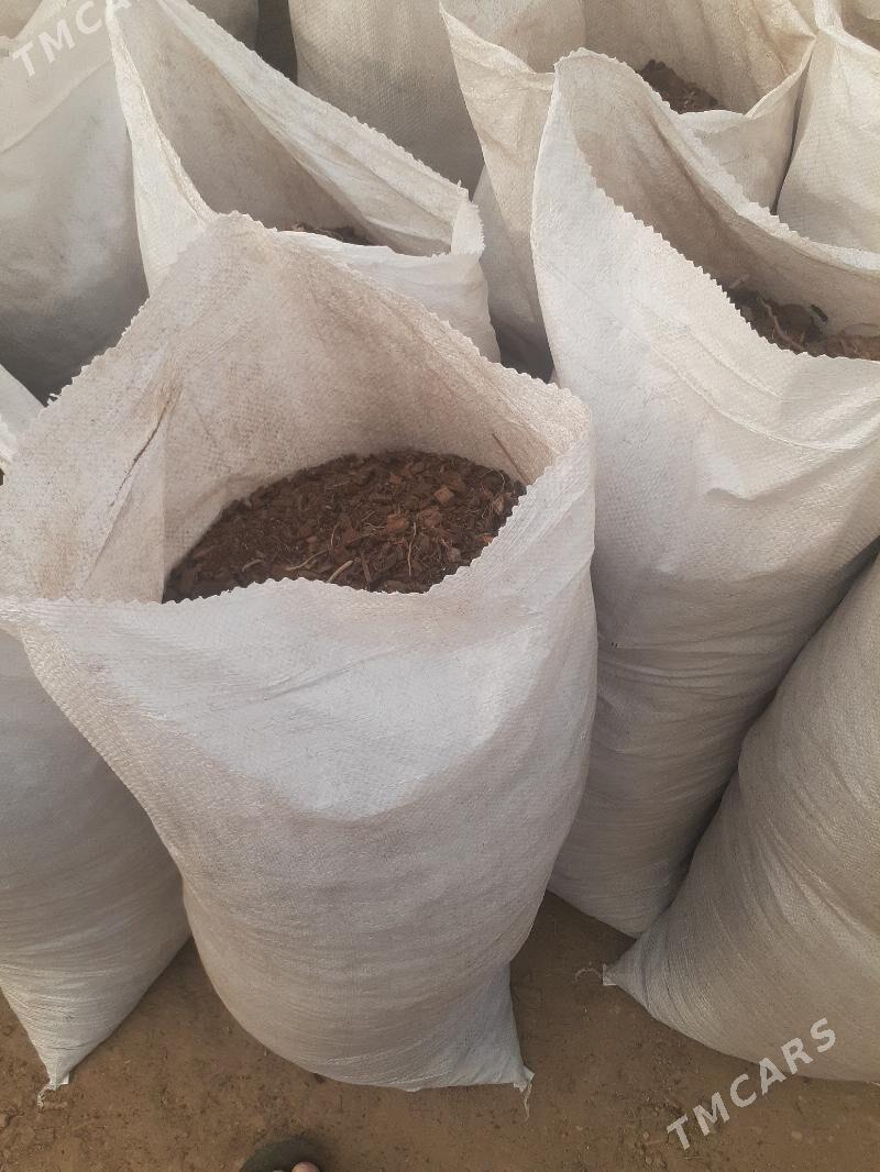 dokun kokobit - Änew - img 3