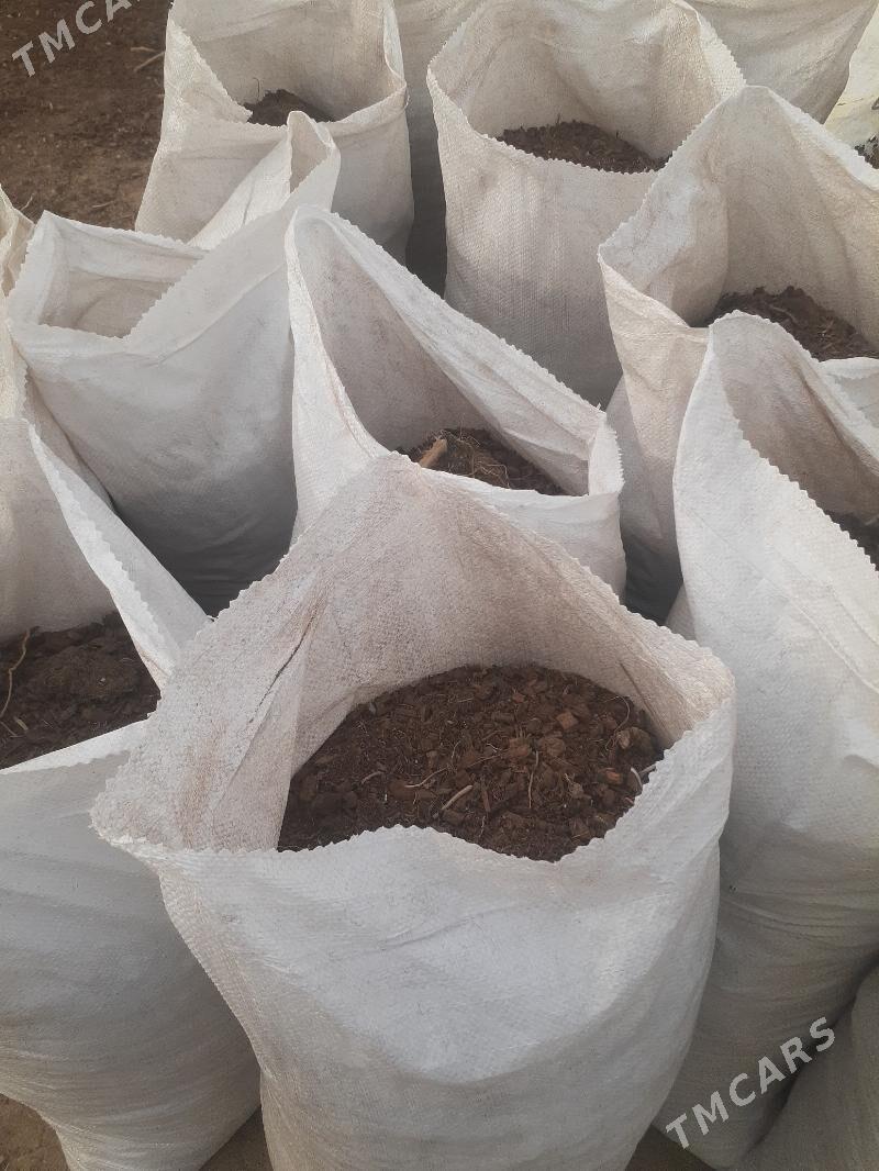 dokun kokobit - Änew - img 2