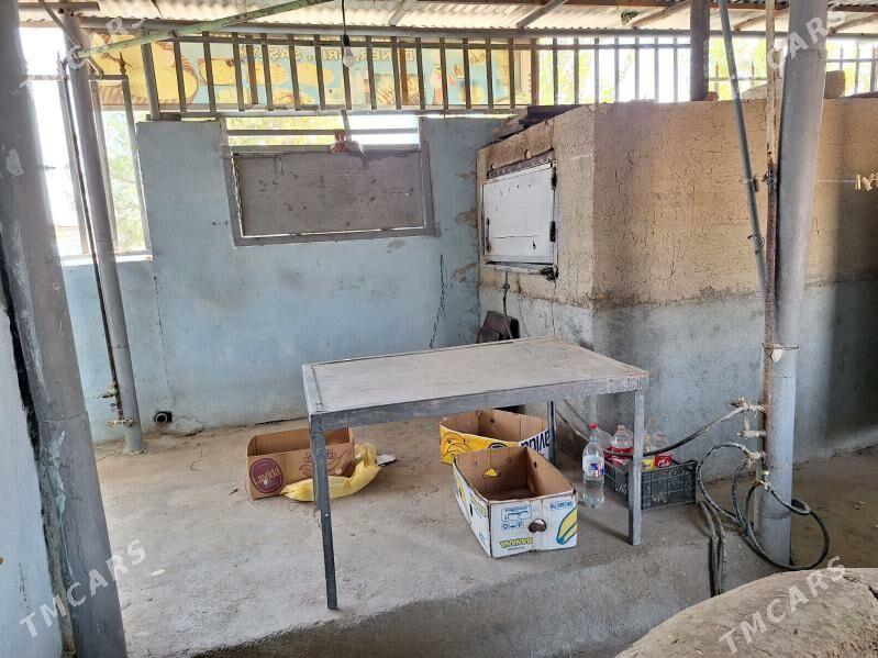 arenda pekarny - Бузмеин - img 3