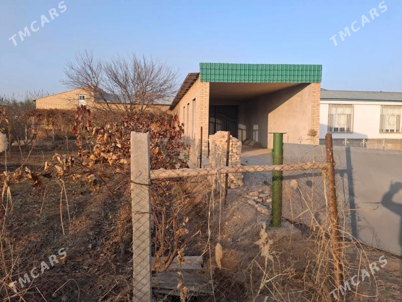 Danow etrabynyn niyazow d.b sa - Дянев - img 1