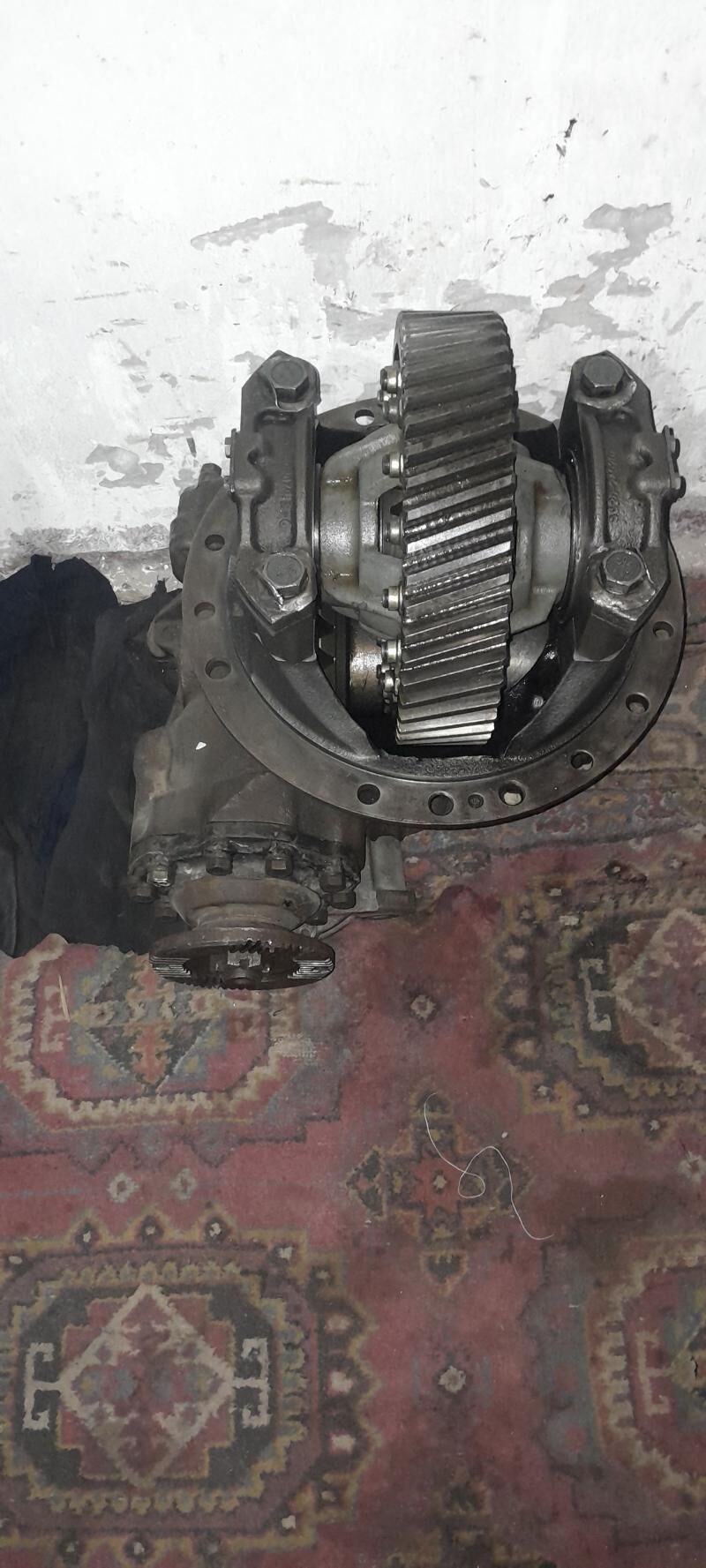 radukdyr 5 200 TMT - Herrikgala - img 2