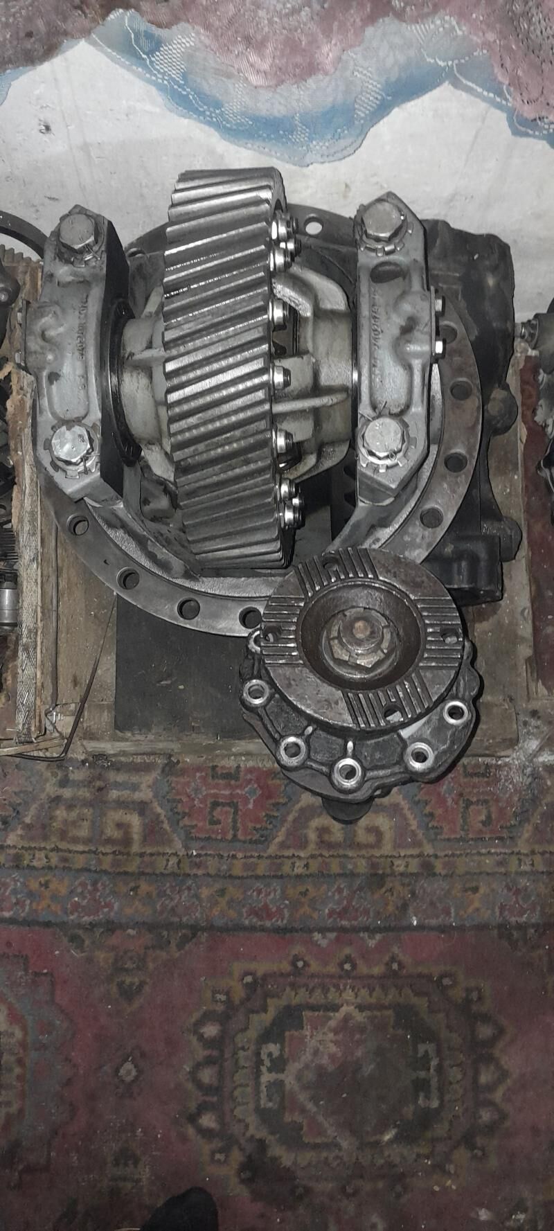 radukdyr 5 200 TMT - Herrikgala - img 3