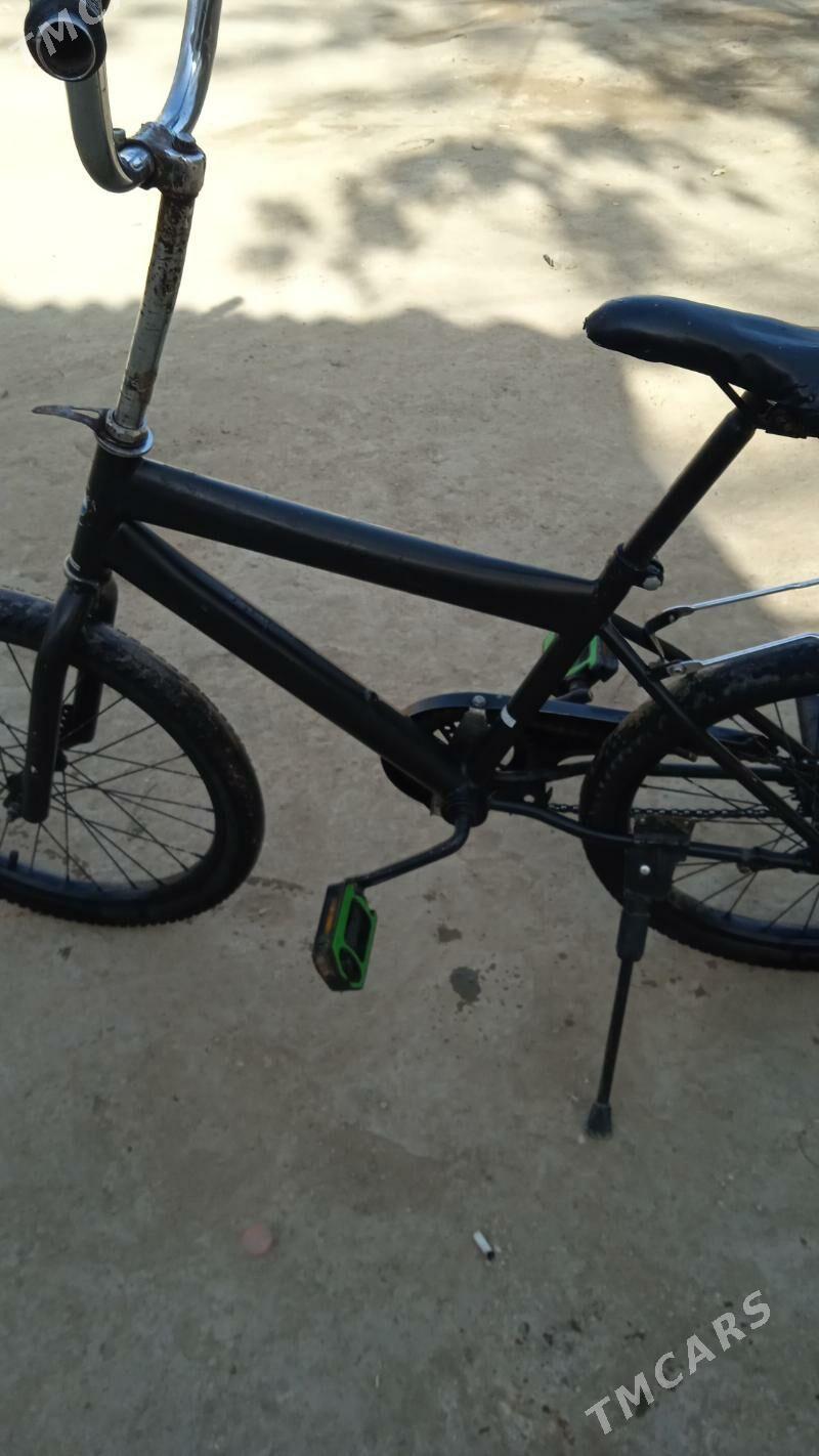 tigr - Район ст. Аэропорта, ул. Гагарина - img 3