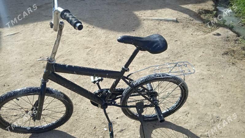 tigr - Район ст. Аэропорта, ул. Гагарина - img 5