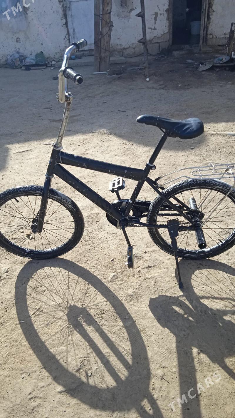 tigr - Район ст. Аэропорта, ул. Гагарина - img 6