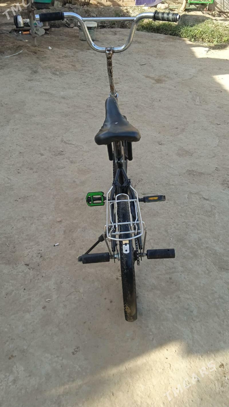 tigr - Район ст. Аэропорта, ул. Гагарина - img 4