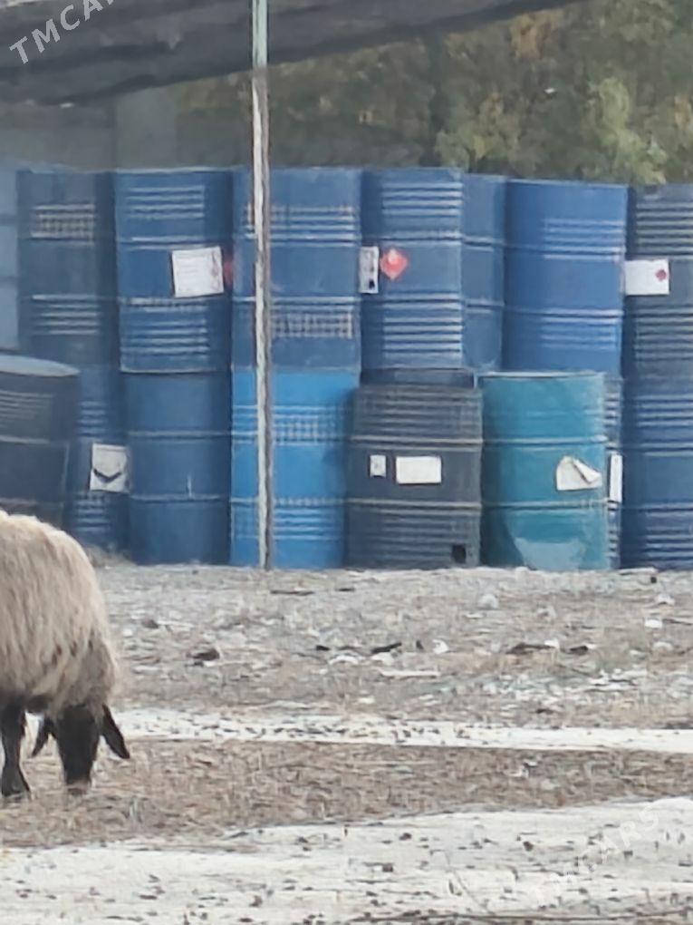 Bochka arassa - Ruhabat (90-njy razýezd) - img 2