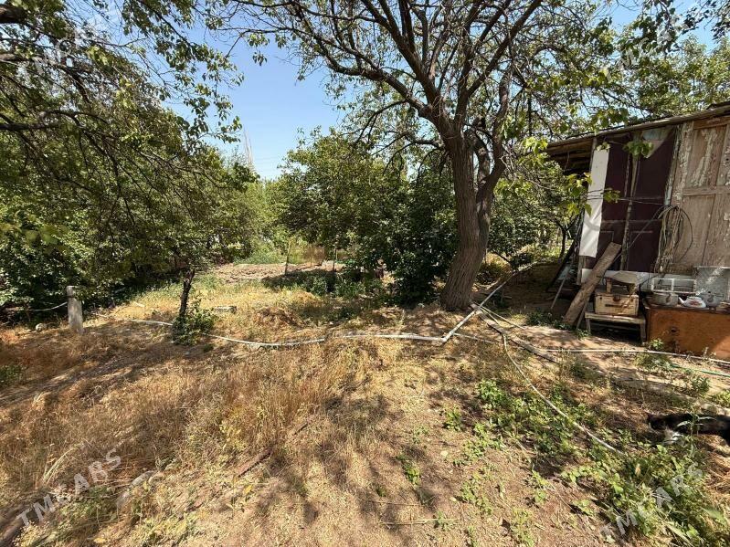 YerJay 900kw document boyynja - Туркменбаши - img 2