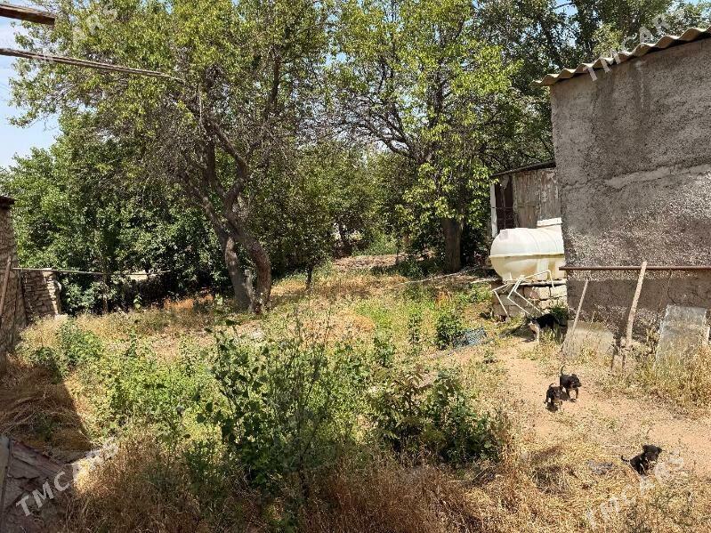 YerJay 900kw document boyynja - Туркменбаши - img 4