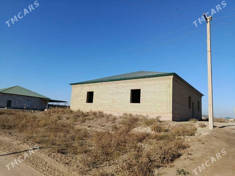 Satlyk jay - Гороглы (Тагта) - img 2