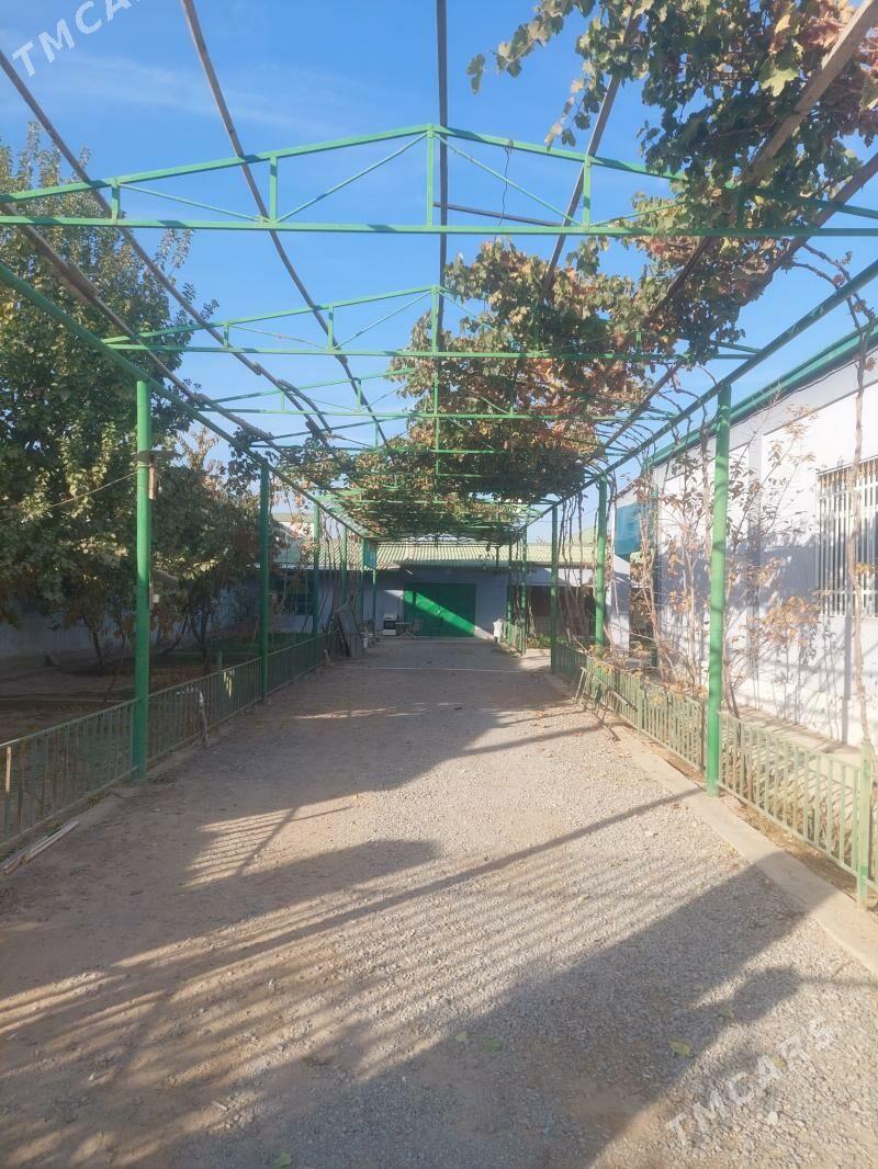 Taze Gami.Taze Gami - Aşgabat - img 2