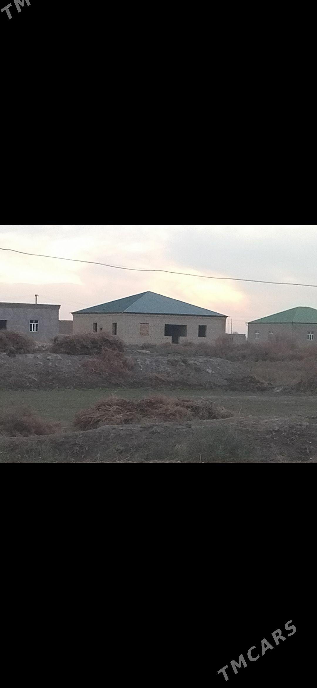 Satlyk jay - Гороглы (Тагта) - img 3