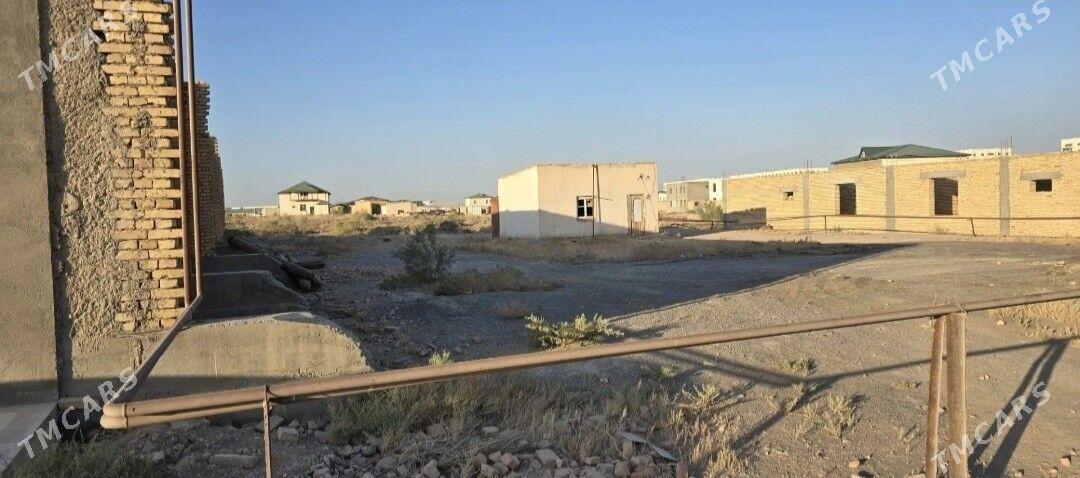 Melek jay - Türkmenabat - img 2