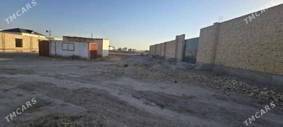 Melek jay - Türkmenabat - img 3