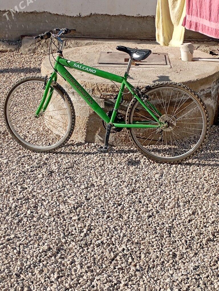 Tigirr Turkmenistan - Balkanabat - img 2