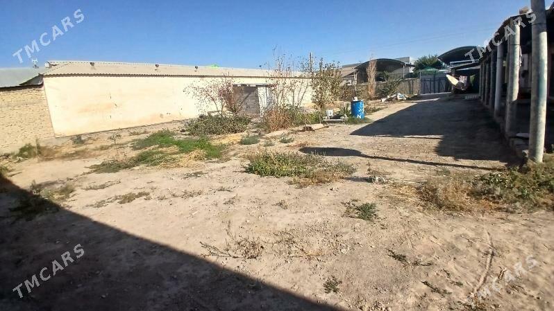 Arenda yer Gami - Ak bugdaý etraby - img 1