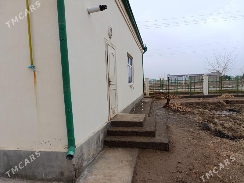 jay 30 yylyk kateź - Mary - img 4