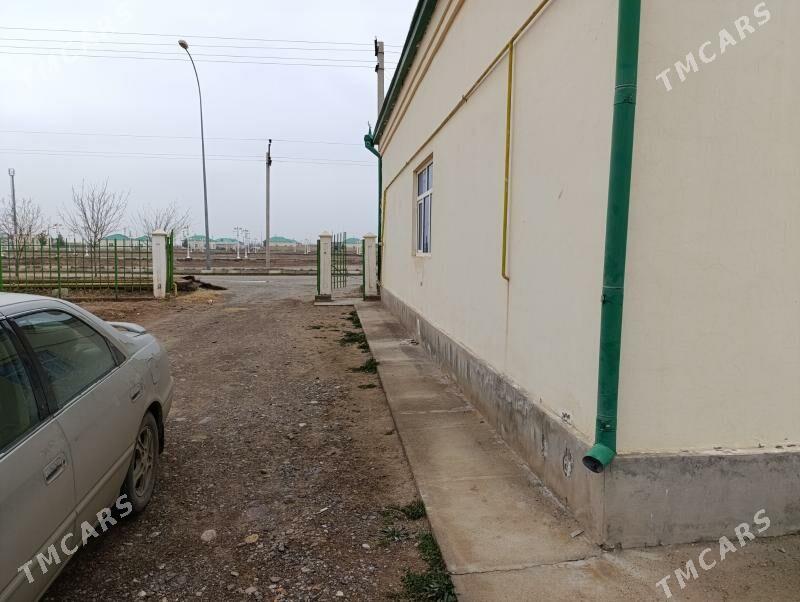 jay 30 yylyk kateź - Mary - img 5