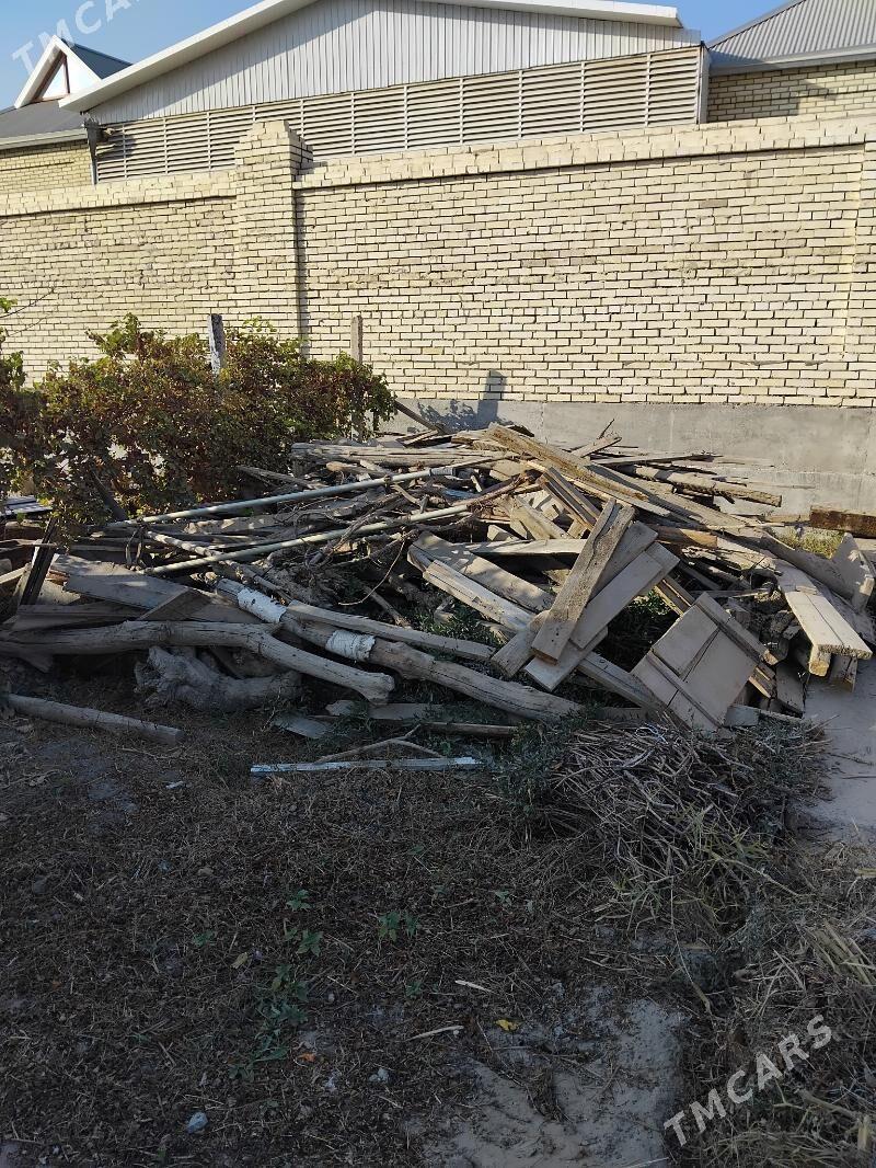 odunluk agac ulanar yalsam ba - Mary - img 2