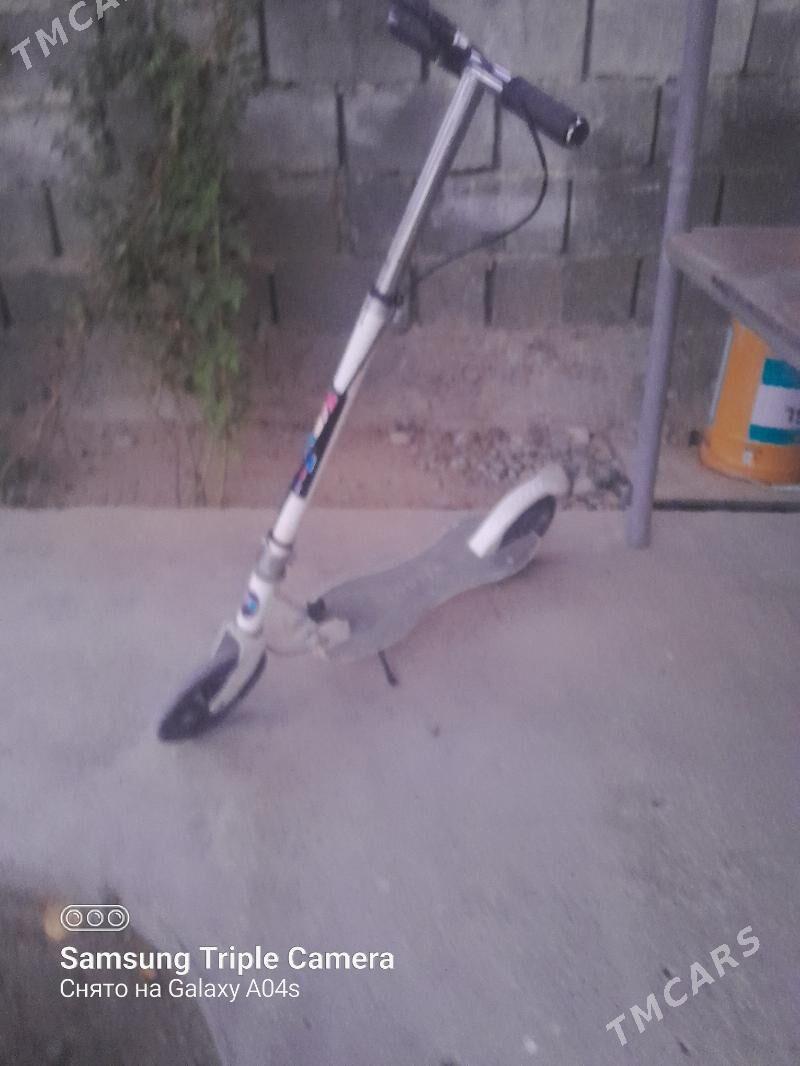 samakat - Büzmeýin - img 2