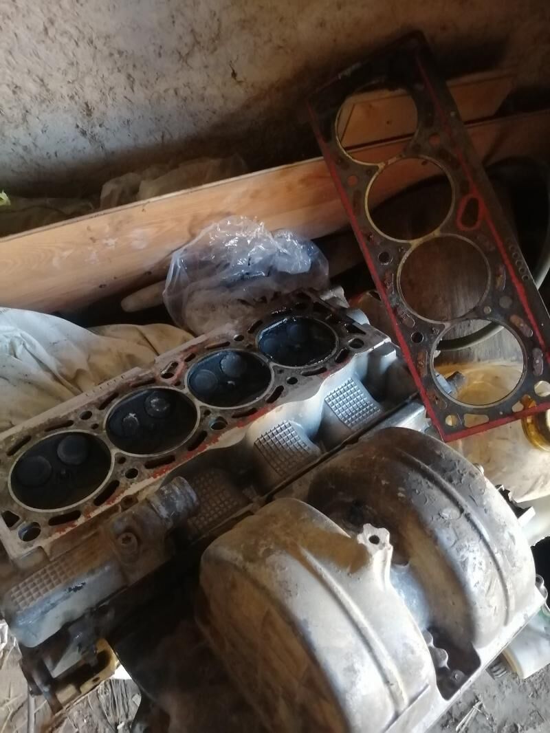 18 gaovka 300 TMT - Daşoguz - img 2