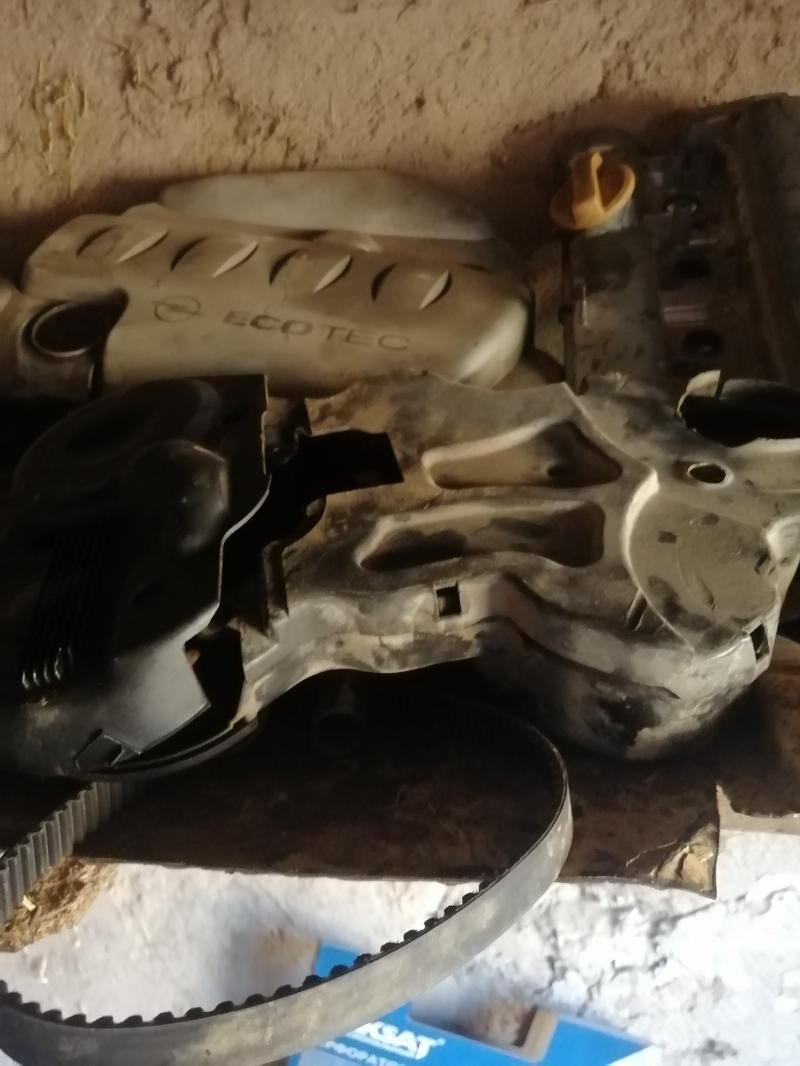 18 gaovka 300 TMT - Daşoguz - img 9